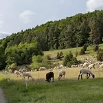Eppler Albstadt