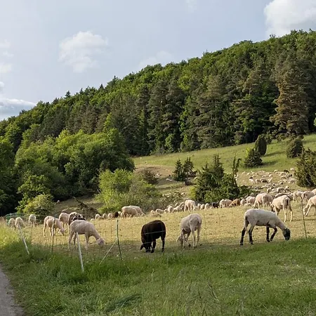 Eppler Appartement Albstadt