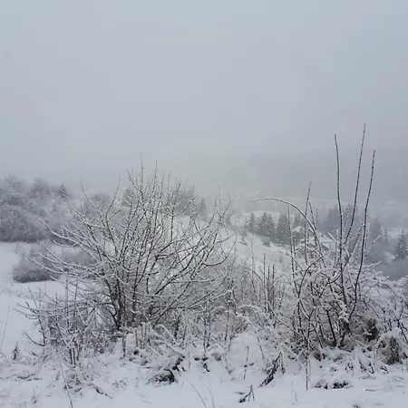 Апартаменты Eppler Альбштадт