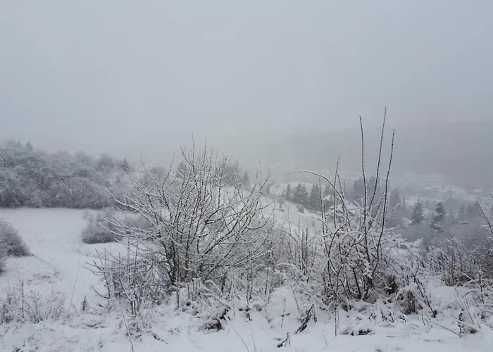 Апартаменты Eppler Альбштадт